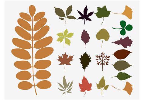 Fall Leaves Vectors Download Free Vector Art Stock Graphics And Images