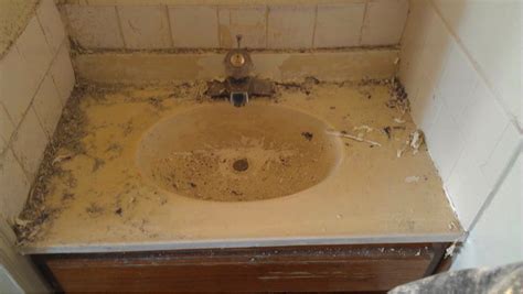 Mesa fully formed can customize any cultured marble product to meet specific size and shape requirements. Home Improvement in SC: Countertop Resurfacing vs ...
