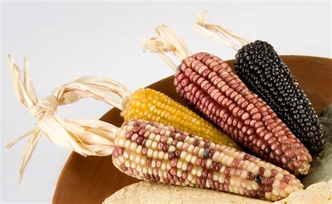 Pin en Menú