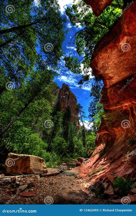 Oak Creek Canyon Stock Image Image Of Trees Wilderness 12462493