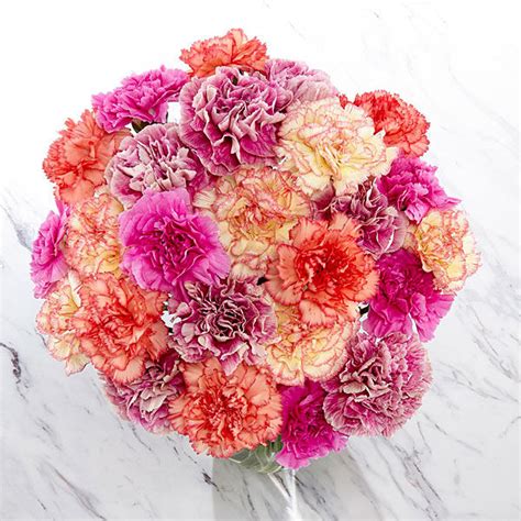 Rainbow Carnations Bouquet A1200 Flower Delivery Flower Shop