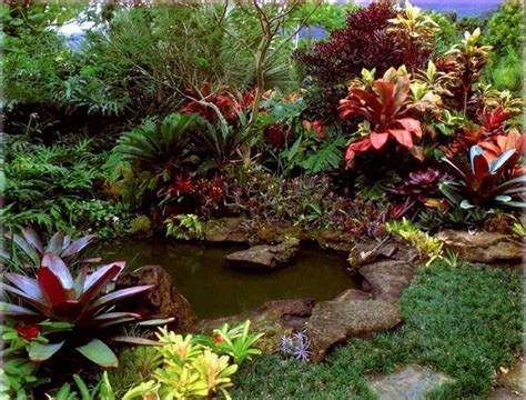 Tropicals tend to need constant warmth. Tropical garden with pond | Tropical garden design, Small ...