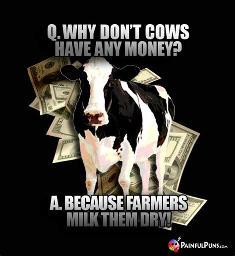 A cow has 4 stomachs (or 4 stomach chambers) each with an important part to play in digesting food. Milk Jokes, Dairy Funny Puns, Latte Laughs | PainfulPuns.com