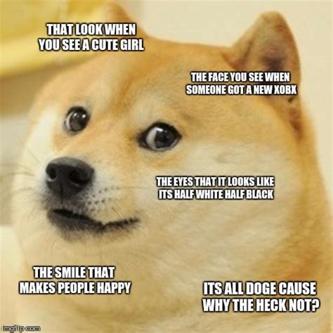 Doge Meme Imgflip