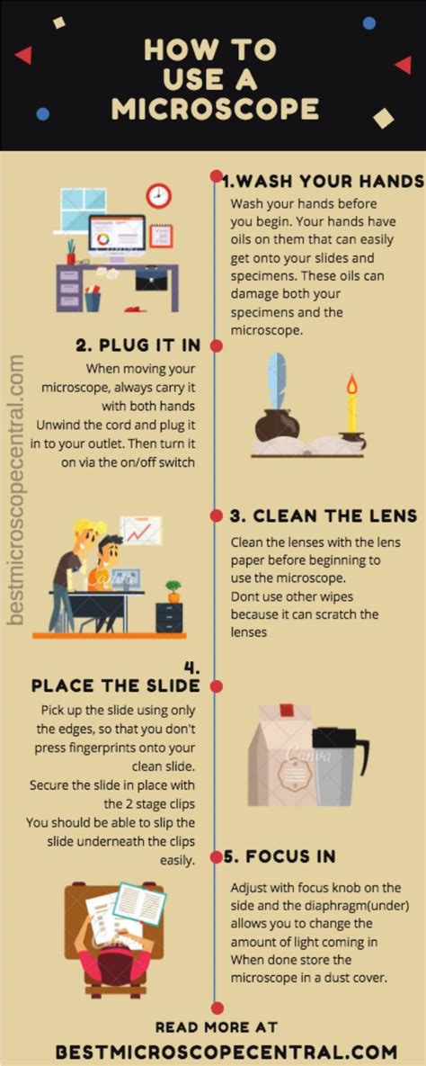 Because we know just how tricky learning how to manage a microscope can be, we have put together a short but comprehensive guide that can help you understand how this type of equipment works. PPT - How to use a microscope step by step - Infographic ...