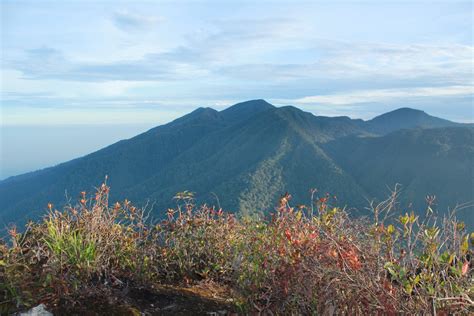 Grafiti berasal dari bahasa latin, graphium yang berarti menulis. Foto-foto cantik dari puncak Gunung Api Burni Telong Bener ...