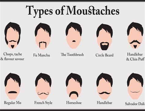 Moustaches Types Of Mustaches Moustache Mustache