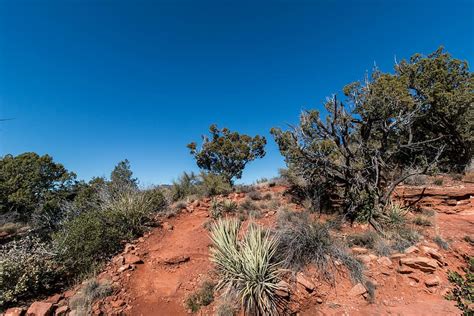 Hd Wallpaper Sedona Trail Desert Arizona Landscape Hiking Red