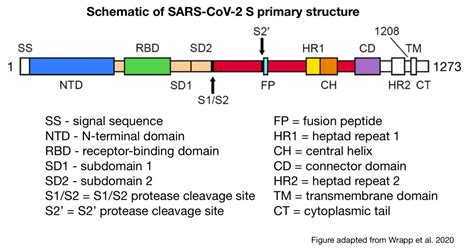 Explore literature, identify clinical trials, and compounds used in them. Sequence analysis of SARS-CoV-2 part 2 - Dave Tang's blog