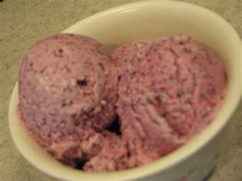 Fresh Blueberry Sherbet Recipe Genius Kitchen