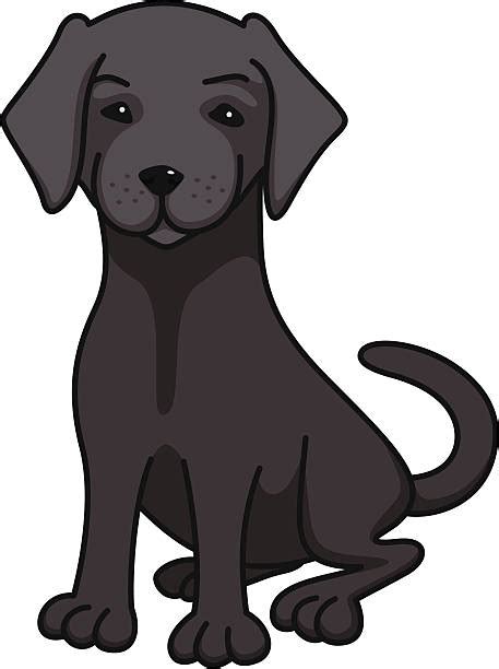 Royalty Free Black Labrador Clip Art Vector Images And Illustrations