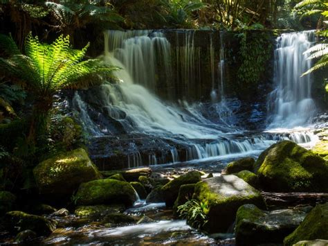 We did not find results for: Mt Field National Park - Discover Tasmania