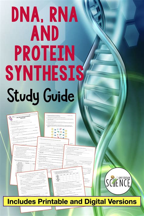 Dna Rna Protein Synthesis Study Guide Printable And Digital Study