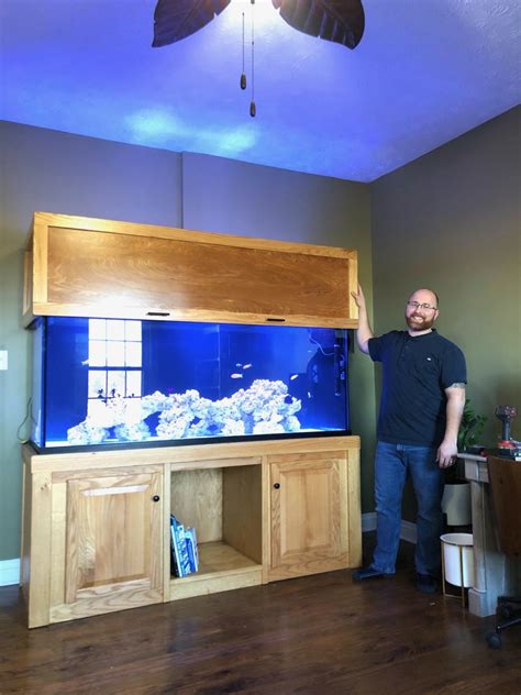 Large Build 210 Display With 100gal Basement Sump Build Reef2reef