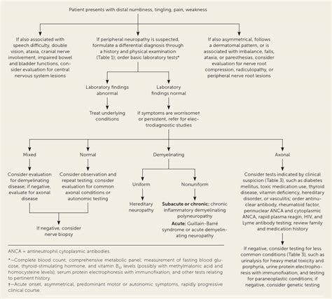 Peripheral Neuropathy Evaluation And Differential Diagnosis Aafp