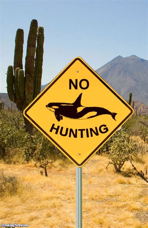 57 Best Unusual Road Signs Images On Pinterest Funny