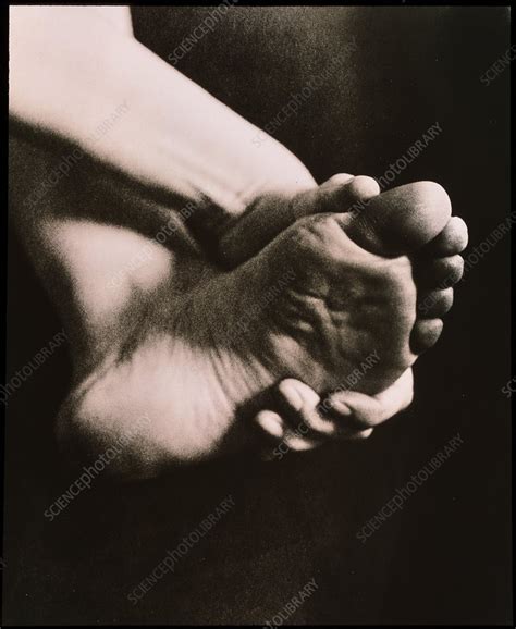 Healthy Sole Of The Foot Held By A Womans Hand Stock Image P701