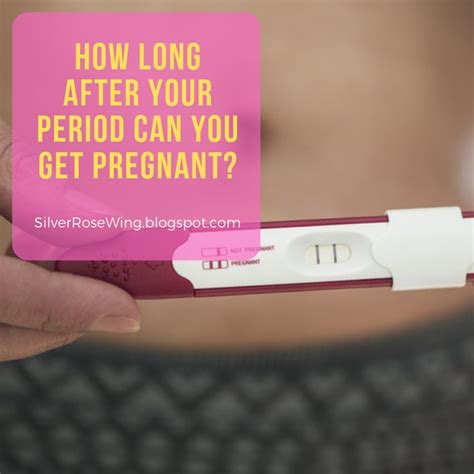 How Long After Your Period Can You Get Pregnant How Much
