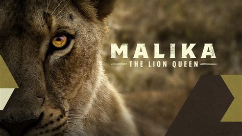 Malika The Lion Queen 2021 Plex
