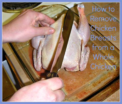 Using the paper towel for grip, grab the end of the tendon between your fingers. How to Remove Chicken Breasts from a Whole Chicken - Whole ...