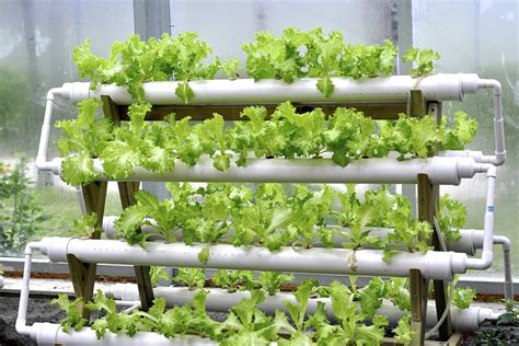 Hydroponic Systems In A Greenhouse Garden And Greenhouse