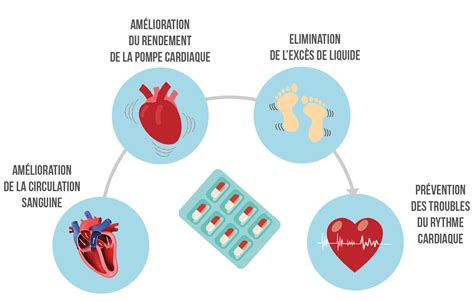 Le traitement médical de l'insuffisance cardiaque