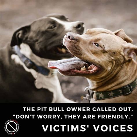Dont Worry My Pit Bulls Are Friendly National Pit Bull Victim Awareness