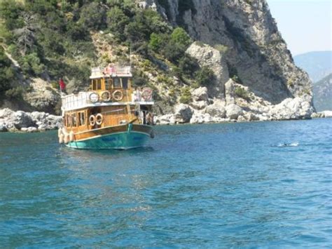 A team of editors takes feedback from. sea urchins - Picture of Finding Nemo Boat, Marmaris ...