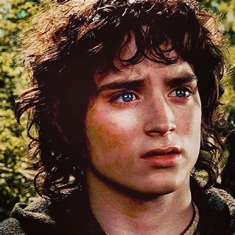 Elijah Wood As Frodo Baggins The Hobbit Lord Of The Rings Frodo