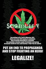 Anti Marijuana Posters