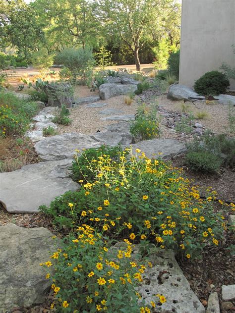 An alphabetic list of all us state flowers + links to more information about the flowers. ROCK ROSE: TEXAS NATIVE PLANT WEEK OCT. 16th. -22nd. WHAT ...
