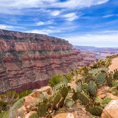 Grand Canyon National Park Proartinc