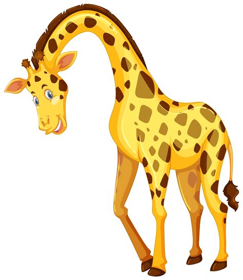 Giraffe On White Background 302208 Vector Art At Vecteezy