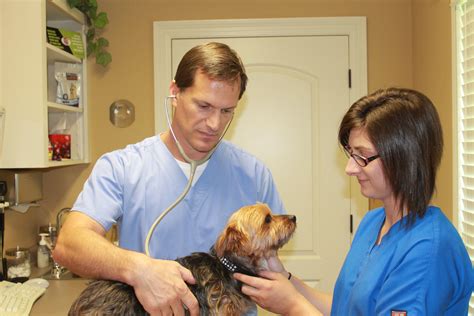 Best care animal hospital pairs expertise, knowledge, and cutting edge technology with compassion to give your pets the best care possible. Vet Med Animal Hospital Coupons near me in Lafayette ...