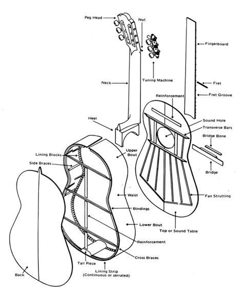 Parts Of The Acoustic Guitar Diagram