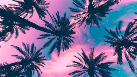 Cool Palm Leaf Pink Wallpaper 2022