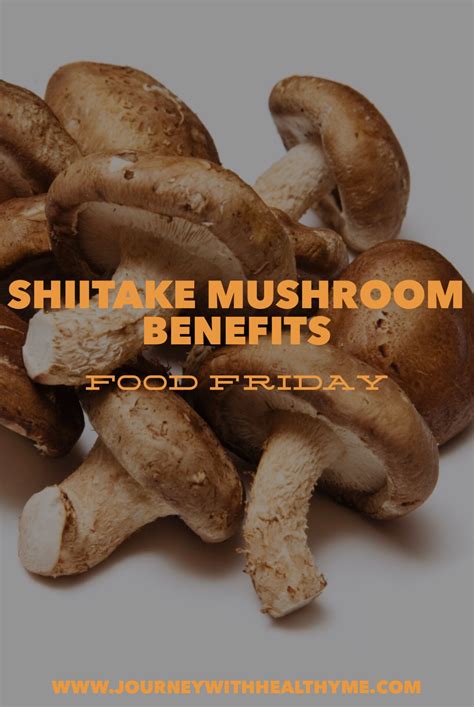 Shiitake Mushroom Benefits Journey With Healthy Me