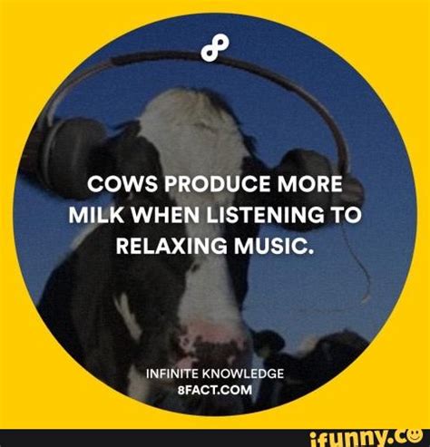 Cows Produce More Milk When Listening To Relaxing Music Infinite