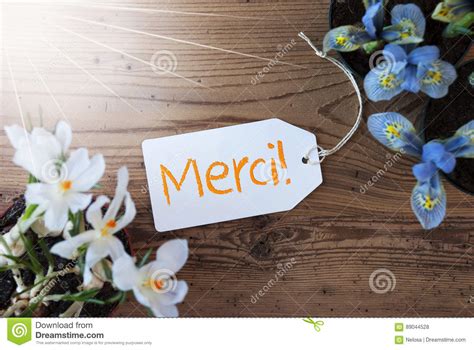 Sunny Flowers Label Merci Means Thank You Stock Photo Image Of
