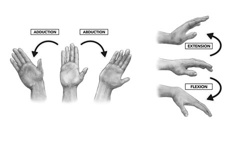 Check spelling or type a new query. CrossFit | Movement About Joints, Part 3: The Wrist