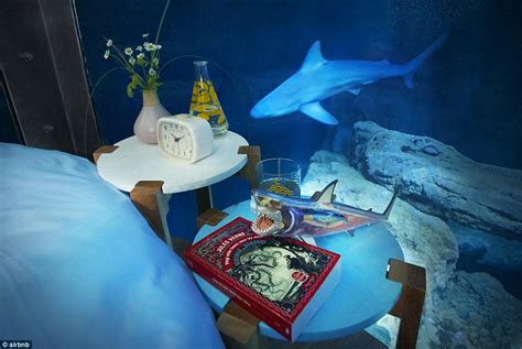 Use paper plates and a free shark printable to make this mobile for your bedroom or classroom. Airbnb launches its first underwater bedroom where guests ...