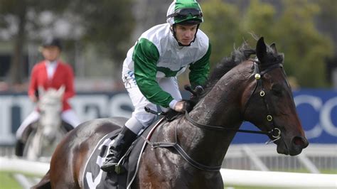 Randwick Races Brad Davidson Tips Best Bets Preview Horse Racing