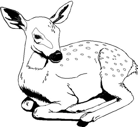 Wild animal coloring pages online. animal planet coloring book pages | Animal coloring books ...