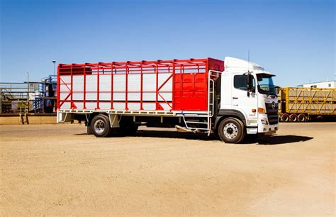 New Cattle Trucks At Vanderfield Hino Queensland Country Life Qld