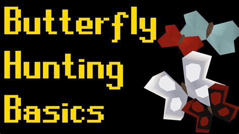 Basic Butterfly Hunting Guide 2020 Osrs Youtube