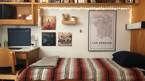 20 Cool Dorm Room Ideas For Guys Essay Tigers