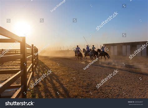 Horses Running Corral Sunset Riders Escorted Stock Photo 426502837
