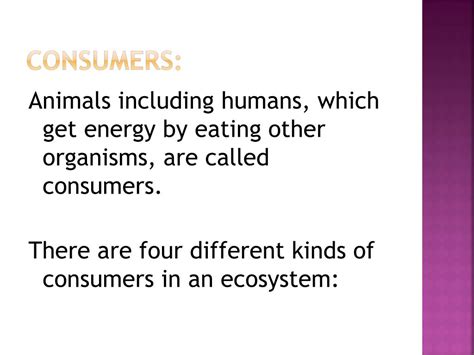 Ppt How Do Organisms Get Energy From A Food Chain Powerpoint