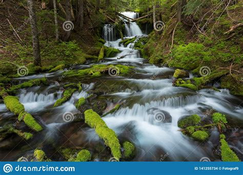 Autumn Forest Landscape With Beautiful Falling Cascades Of Creek And