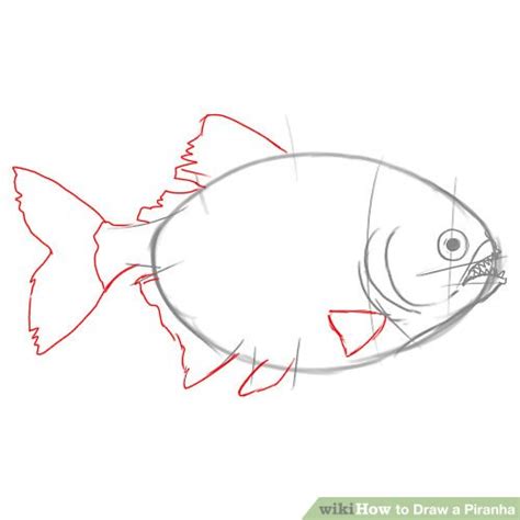 How to Draw a Piranha: 6 Steps (with Pictures) - wikiHow